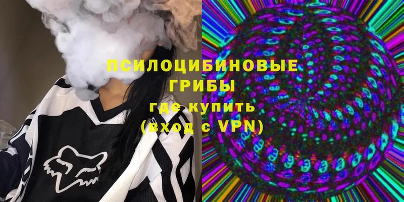 что такое   Лермонтов  omg маркетплейс  Псилоцибиновые грибы Psilocybe 